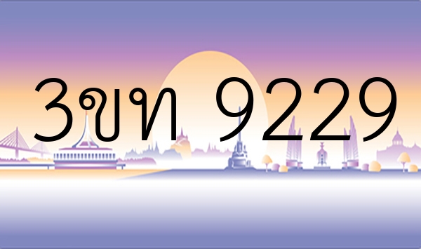 3ขท 9229